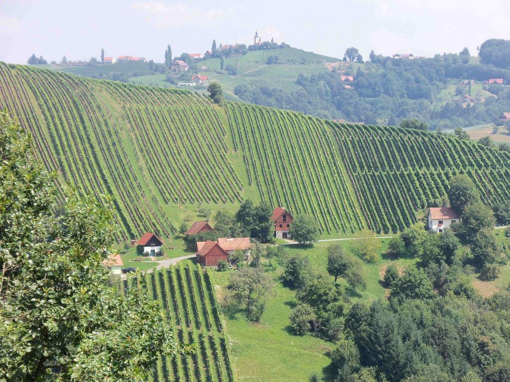 Obstbau Und Gaestezimmer Stani Kitzeck im Sausal Exterior photo
